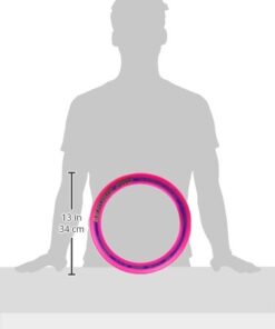 Aerobie Pro Ring Outdoor Kids Toy for Boys and Girls, All Ages, Colors may Vary 29 317sYUhihzL