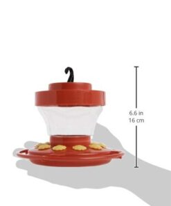 First Nature 993091-546 16 oz. Hummingbird Flower Feeder 21 318LGe6P0TL
