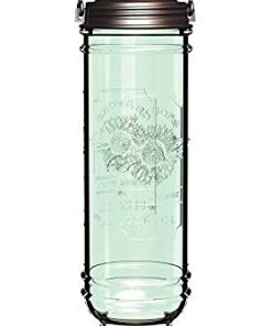 More Birds Songbird Vintage Bird Feeder, Sunflower and Thistle Feeder, 4 Feeding Ports, 1.5 lb Seed Capacity Vintage Glass 16 318pnw4jD9S