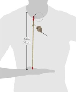 Go Cat Cat Catcher Teaser Wand with Mouse Cat Toy 19 31BNnlzmqxL