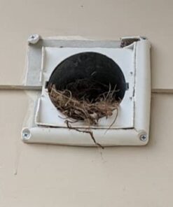 Deflecto Supurr-Vent Louvered Outdoor Dryer Vent Cover, White, 4" Hood (HS4W/18) 34 31EDYrhE8L