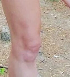 Gold Bond Age Renew Retinol Overnight Body & Face Lotion, With Retinol & Peptide Complex, 7 oz. 7 Fl Oz (Pack of 1) 36 31Goi9XgFmL 1