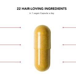 HAIRtamin Vegan Hair Vitamins for Faster Hair Growth | All Natural Biotin Hair Growth Vitamin Capsules to Support Healthy Hair Skin and Nails | May Reduce Hair Loss & Thinning | 30 Capsules 1 20 31GrQTPTbCL 2