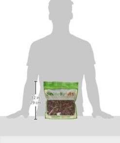 Sincerely Nuts - Raw Pecans (No Shell) | Two Lb. Bag | Shelled Whole Pecan | Delicious Healthy Snack Food | For Baking, Snacking and Dessert Treats | Gluten Free and Kosher | Fresh Resealable Bag 2 Pound (Pack of 1) 18 31H8vrucbuL