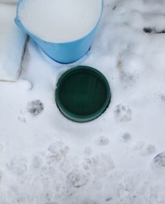 Farm Innovators P-60 1.5 Gallon 60 Watt Electric Powered Heated Pet Water Bowl with Thermostatic Control and Anti Chew Cord, Green Single 28 31KFMLFsXLL