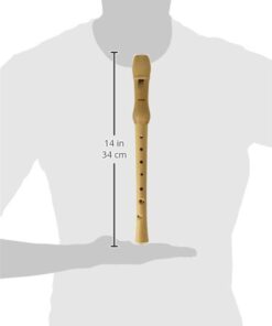 Hohner Recorder (B-9560) 8 31KG2FyMiNL