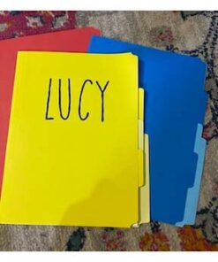 Pendaflex Divide It Up File Folders, Letter Size, Assorted Colors, 12/Pack (10773) Size: 12 per pack 16 31LM4yKcqL