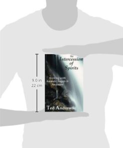 The Intercession of Spirits: Working with Animals, Angels & Ancestors 3 31LZF7nBzXL