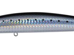 Daiwa Daiwa Salt Pro Multi One Size 12 31PlX4 iJyL