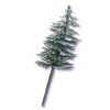 Evergreen Trees for Cake Decorating - 12 ct 19 31Qhg8UykJL