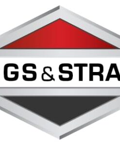 Briggs & Stratton Fuel Filter 75 Micron 5098K 8 31QzBk4e9OL