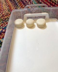 Judee’s Dried Egg White Protein Powder 8 oz - Pasteurized, USDA Certified, 100% Non-GMO - Gluten-Free and Nut-Free - Just One Ingredient - Made in USA - Use in Baking - Make Whipped Egg Whites 8 Ounce (Pack of 1) 31 31RmgEQVsrL