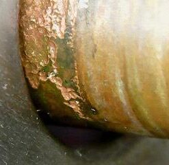 Jiusion WiFi USB Digital Handheld Microscope, 50 to 1000x Wireless Magnification Endoscope 8 LED Mini Camera with Metal Stand Compatible with iPhone iPad Mac Windows Android 61 31RuKRoVL