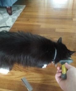 Coastal Pet Safari Cat Shedding Comb - Prevents Hairballs - Daily-Use Cat Deshedding Brush - For Cats with Short and Long Hair - One Size 30 31SEWMZxh4L