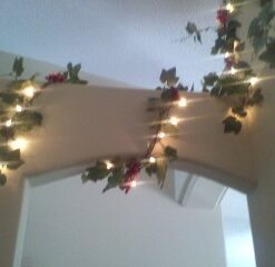 Noma/Inliten Holiday Wonderland 100-Count Clear Christmas Light Set,Green Wire 34 31Uw6R ySiL