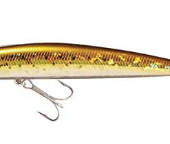 Daiwa Daiwa Salt Pro Multi One Size 18 31VCuWQdRAL