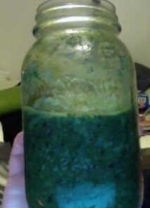 Terrasoul Superfoods Organic Spirulina Powder, 6 Oz, Vegan Protein, Green Superfood Boost for Smoothies, Detoxifying Elixirs, and Immune Support 15 31VsC6qUK5L