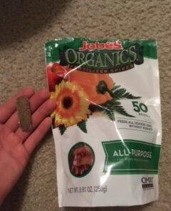 Jobe's, Fertilizer Spikes, All-Purpose, 50 Count, Flowers, Trees, Fruit, Nut, Shrubs, Vegetables 50 Spikes All Purpose 20 31XRq5IdVLL