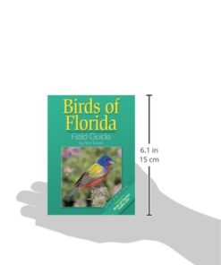 Alternative view of Birds Of Florida Field Guide Paperback