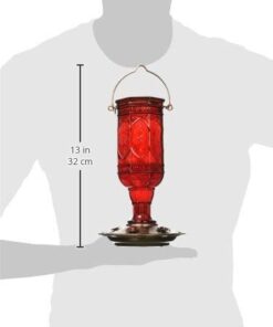 More Birds Red Jewel Hummingbird Feeder, Glass Hummingbird Feeders for Outdoors, 5 Feeding Stations, 20 Ounces Standard Packaging 26 31Y4f pdj7L