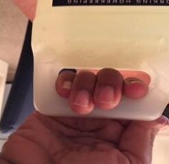 Mrs.+Meyer%27s+Liquid+Hand+Soap+Refill%2c+Lemon+Verbena%2c+33+Fluid+Ounce Lemon Verbena 33 Fl Oz (Pack of 1) 30 31ZaGn3WUSL