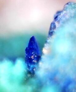 Opti-Tekscope Digital USB Microscope Camera- Advanced CMOS Sensor, True High Definition Macro 200x Zoom Imaging –1600 x 1200, Video, Superior Industrial Quality Base, 8 LED, Windows Mac Linux 57 31aFzqPiJVL