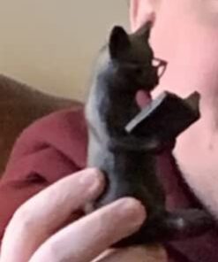 Young's Inc. Cat Figurine - Cute Cat Statue - Whimsical Cat Decor for Cat Lovers - Cat Collectibles and Meditation Decor - Cat with Eye Glasses - 4'' L X 3'' W X 5'' H Sitting Up 36 31akLi8KnrL