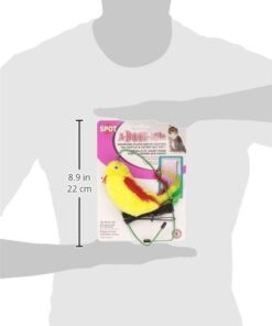 SPOT by Ethical Products A-Door-Able Plush Bird Cat Toy with Feathers – Interactive Cat Toy for Indoor Cat – with Catnip 4.5" 13 31btQrYpEL