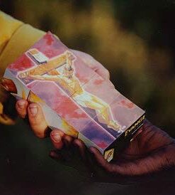 EvangeCube - The Gospel Sharing Evangelism Cube - Official 1 Pack EvangeCube 10 31c0xOZUlwL