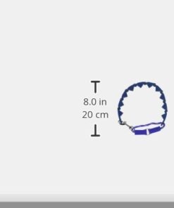 Don Sullivan Perfect Dog Command Collar with Extra Links and DVD, Large blue 21 31ddrCr9OYL