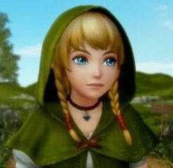 Hyrule Warriors: Legends - Nintendo 3DS Standard 18 31ecHDz7GJL