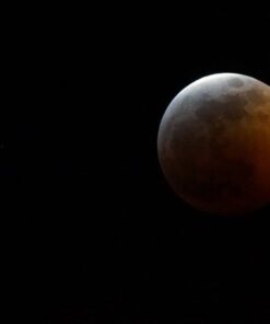 Tamron SP 150-600mm F/5-6.3 Di VC USD G2 for Canon Digital SLR Cameras Lens Only 42 31h4YILjwWL