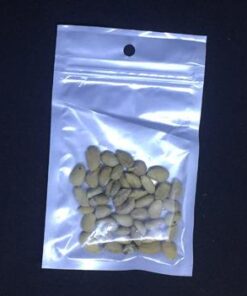 Cheap! Fruit seeds Orange Tree Seeds DWARF WASHINGTON NAVEL Grow Indoors or Outdoors 30pcs 7 31hm3e BtL