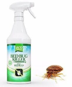 Eco Defense Bed Bug Killer - USDA Biobased Dust Mite Spray Natural Repellent Treatment - Child & Pet Friendly - 16 oz 33 31jd9LT8kCL