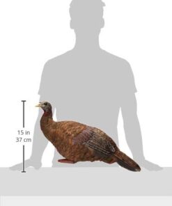 AVIAN-X LCD Breeder Hen Turkey Decoy | Durable Realistic Lifelike Collapsible Standing Hunting Decoy with Carry Bag & Stake, AVX8008 24 31kXcMKxe8L