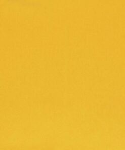 Columbian Clasp Envelopes, 9 x 12 Inches, Brown Kraft, 100 Per Box (CO790) 6 31ktZguI4zL