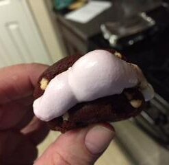 La Nouba Sugar-Free Marshmallows – 2.7 oz. Pack – Low Calorie, Low Carb, Fat-Free and Gluten Free Snack – Traditional Delicious Taste – All Natural and Healthy Marshmallows 27 31l8vVSoavL