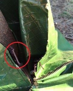 Treegator Original Slow Release Watering Bag for Trees, 1 Bag 32 31lPblgJhoL