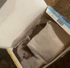 Lipton Iced Tea Bags, Bulk Tea, Great for Parties, 48 Gallon-Sized Tea Bags 28 31omCdqpGAL