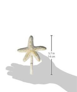 Park Designs Starfish Single Hook 22 31pfLlvEfmL