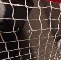 Mylec Easy Assemble Steel Hockey Goal for Indoor + Outdoor - 52” x 43” x 28” - 17 pounds - Light + Portable 26 31rhufzwihL