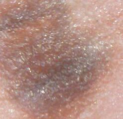 Jiusion WiFi USB Digital Handheld Microscope, 50 to 1000x Wireless Magnification Endoscope 8 LED Mini Camera with Metal Stand Compatible with iPhone iPad Mac Windows Android 47 31u9Th1AAeL