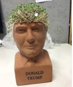 Chia Pet Donald Trump President with Seed Pack, (8" x 4.5" x 7.3") Decorative Pottery Planter, Easy to Do and Fun to Grow, Novelty Gift, Perfect for Any Occasion 35 31uRN7PjlXL