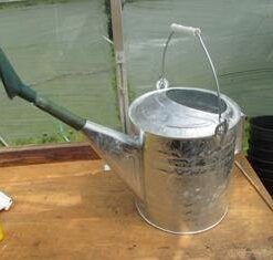 Behrens 2-1/2-Gallon 210 Steel Watering Can, Silver 21 31ukCNqCYLL