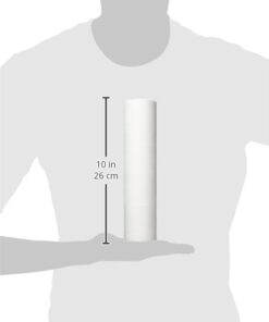 Culligan P5A P5 Whole House Premium Water Filter, 8,000 Gallons, 2 Count (Pack of 1), White Standard 12 31uqsbFn4L