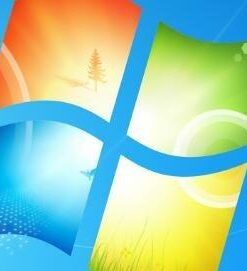 Amazon Basics 3-Ring Binder, 1-Inch - White, 4-Pack 1" 36 31w7EkBGIL