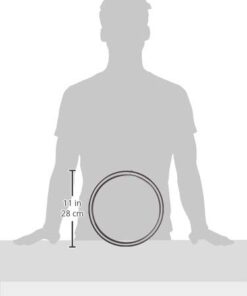 Norpro Nonstick 10-Inch Springform With Glass Base, One Size, As Shown 11 31wOWS bmdL