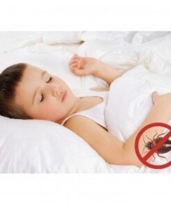 Premium BED Bugs Pillow Protector a Set of 2 Pillow Protectors (Queen (21"x"28)) Queen (21"x"28) 14 31xvZHlIZDL