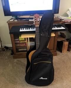 Faswin 41 Inches Guitar Bag Dual Adjustable Shoulder Strap Acoustic Guitar Gig Bag, Guitar Case Waterproof Oxford Cloth 0.3 Inch Thicken Sponge Pad, Black 38 31yGLrA3shL