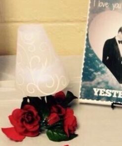 Libbey All-Purpose Wine Party Glasses, 12.75-ounce, Set of 12 Clear Standard Packaging 28 31ylh 5aQiL